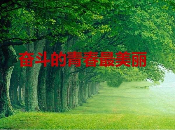 点此在新窗口浏览图片
