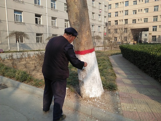 点此在新窗口浏览图片